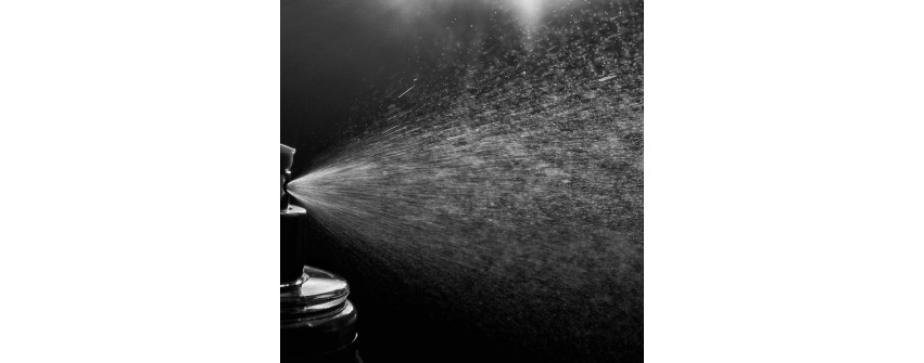 NICHES-EXTRAIT DE PARFUM